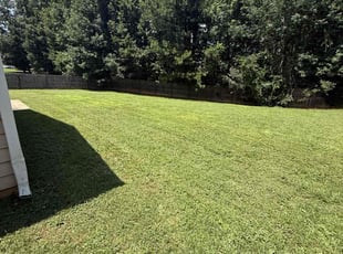 Cheryl T.'s lawn maintenance service result