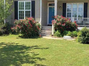 James Q.'s turf maintenance service result