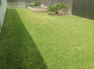 Rebecca S.'s turf care service result