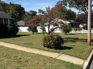 Richard S.'s turf maintenance service result