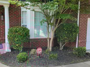 Sherie L.'s Bush Trimming service result