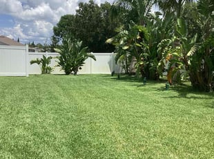 Dante M.'s turf care service result