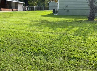 Anita H.'s turf care service result