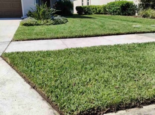 Ernesto F.'s grass maintenance service result