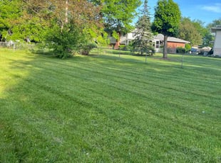 Candice M.'s lawn care services service result