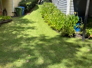 Kipp A.'s grass cutting service result