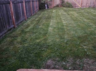 Diana W.'s lawn service service result