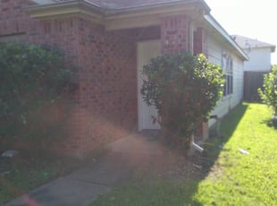 Huda M.'s Bush Trimming service result