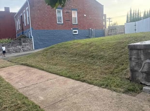 Shauntae A.'s grass cutting service result