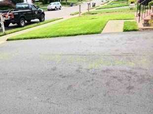 Mary E.'s lawn care service result
