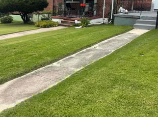 Dieudonne A.'s grass maintenance service result