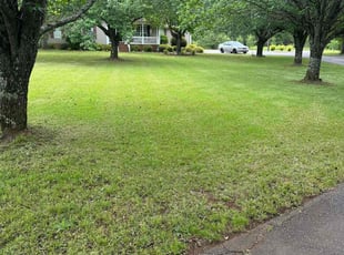 Sandra A.'s grass cutting service result