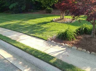 Carla Y.'s lawn care service result