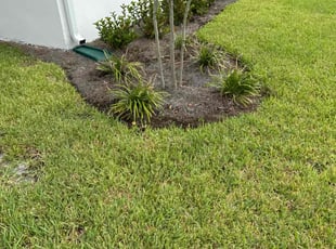 Sean N.'s Flower Bed Weeding service result