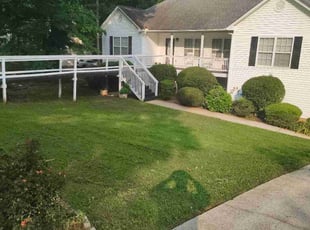 James C.'s turf care service result