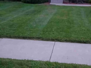 Damon L.'s turf maintenance service result