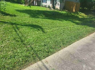 Michael R.'s turf maintenance service result