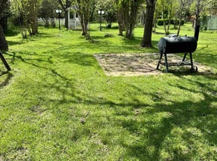 Jeanene L.'s lawn maintenance service result