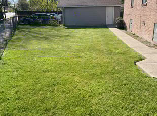 Jim D.'s grass maintenance service result
