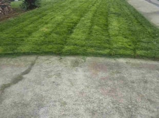 Kenya M.'s lawn care services service result