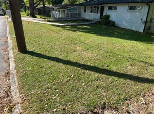 Lohith Y.'s lawn service service result