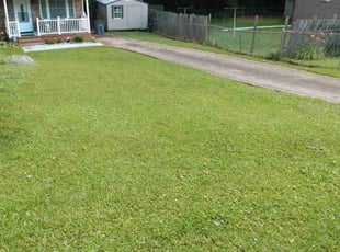 Cheryl D.'s lawn care service result