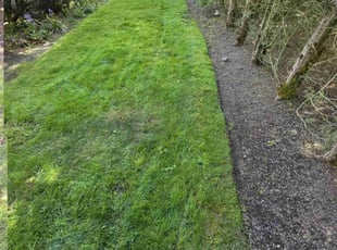 Ron H.'s lawn care service result