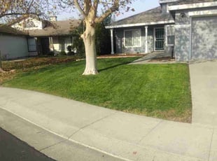 Melissa B.'s lawn maintenance service result
