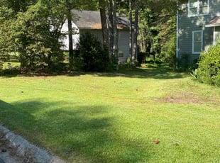 Ken R.'s turf maintenance service result