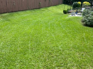 Kelly J.'s turf maintenance service result