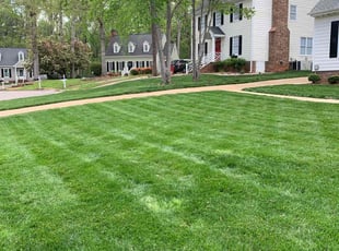 Debbie S.'s grass maintenance service result