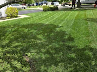 Jonteria S.'s landscaping service result