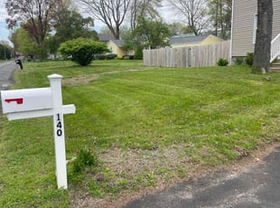 Miguel M.'s grass cutting service result