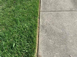 Carole E.'s turf care service result