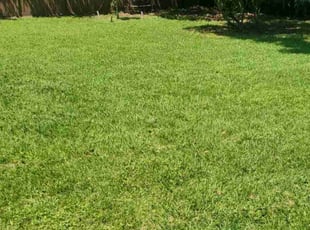 Melissa K.'s grass cutting service result