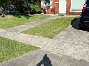 Madison H.'s turf care service result