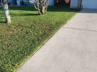 Joanna I.'s grass maintenance service result