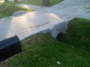 Lashonda P.'s lawn care services service result