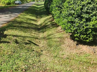 Scott B.'s lawn care service result