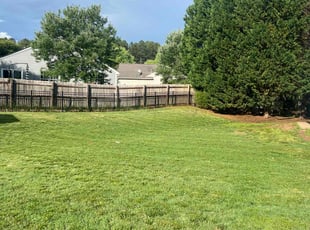 Kim S.'s lawn service service result