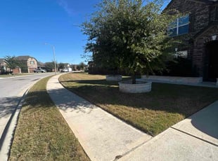 John P.'s lawn service service result