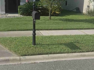 Lisa B.'s grass maintenance service result