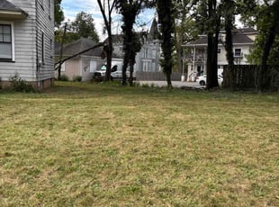 Bob D.'s turf maintenance service result