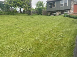 Walterina B.'s grass maintenance service result