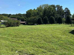 Suellen H.'s lawn maintenance service result