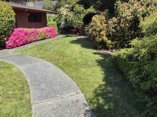 Loretta L.'s lawn care service result