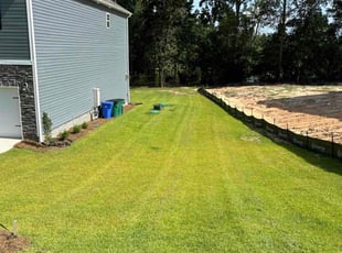 Nerissa N.'s grass maintenance service result