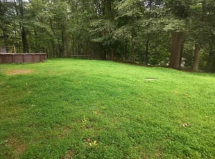 Andy K.'s lawn maintenance service result