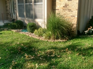Victoria W.'s Bush Trimming service result