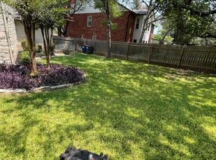 Michael S.'s lawn care service result